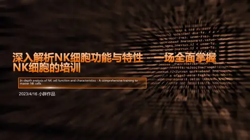 NK细胞讲解