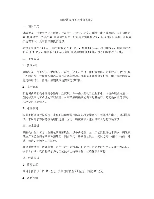 磷酸铁项目可行性研究报告