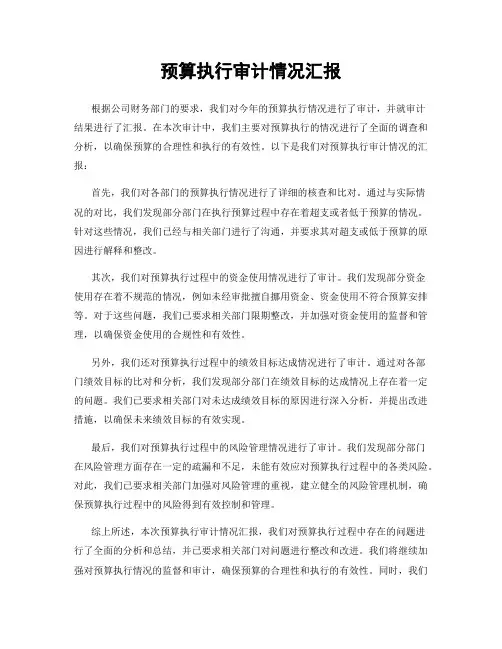 预算执行审计情况汇报