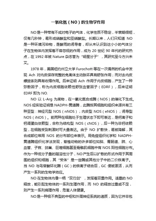 一氧化氮（NO）的生物学作用