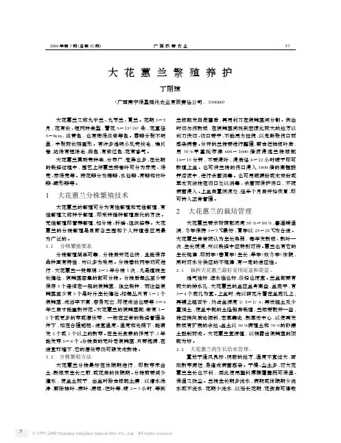 大花蕙兰繁殖养护