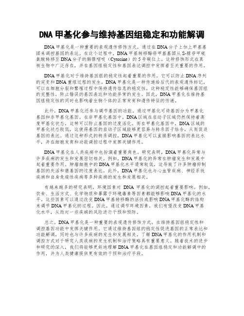 DNA甲基化参与维持基因组稳定和功能解调