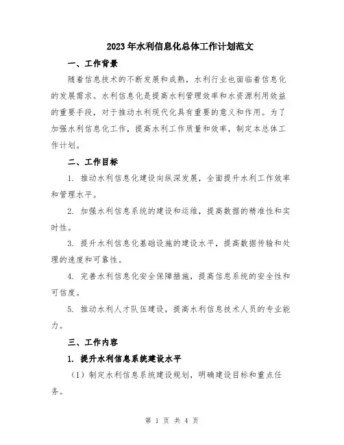 2023年水利信息化总体工作计划范文