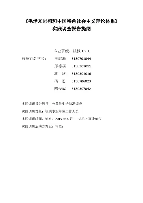 毛概实践调查提纲