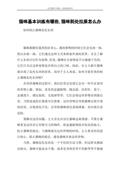 猫咪基本训练有哪些,猫咪到处拉屎怎么办