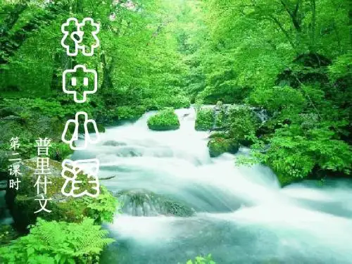 林中小溪第二课时