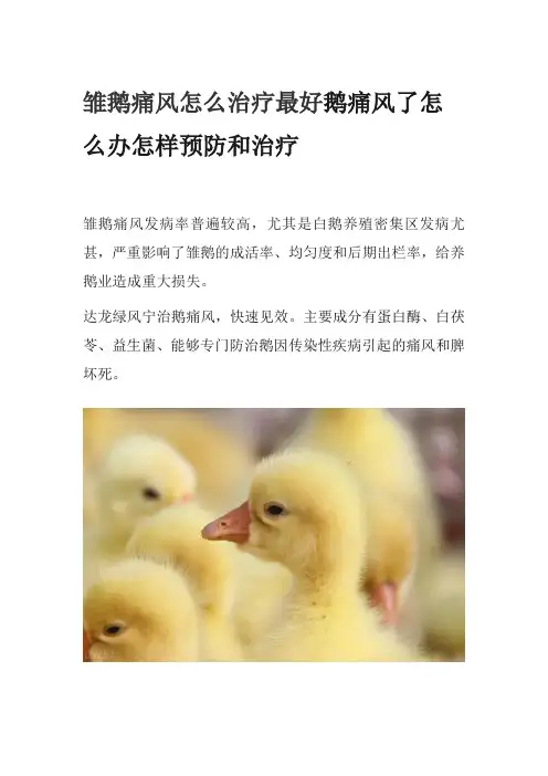 雏鹅痛风怎么治疗最好鹅痛风了怎么办怎样预防和治疗