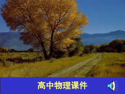 声波