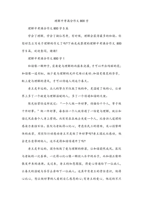 理解中考满分作文800字
