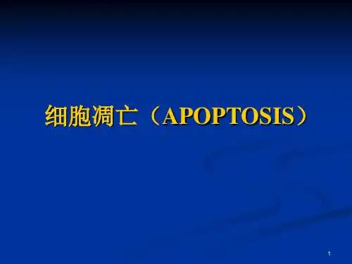 细胞生物学技术-细胞凋亡