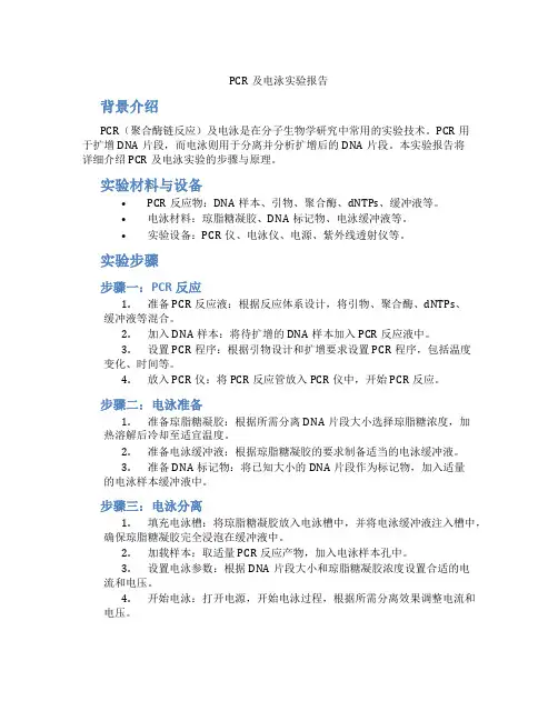 pcr及电泳实验报告