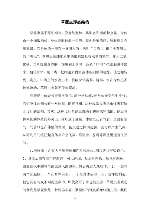 草履虫形态结构