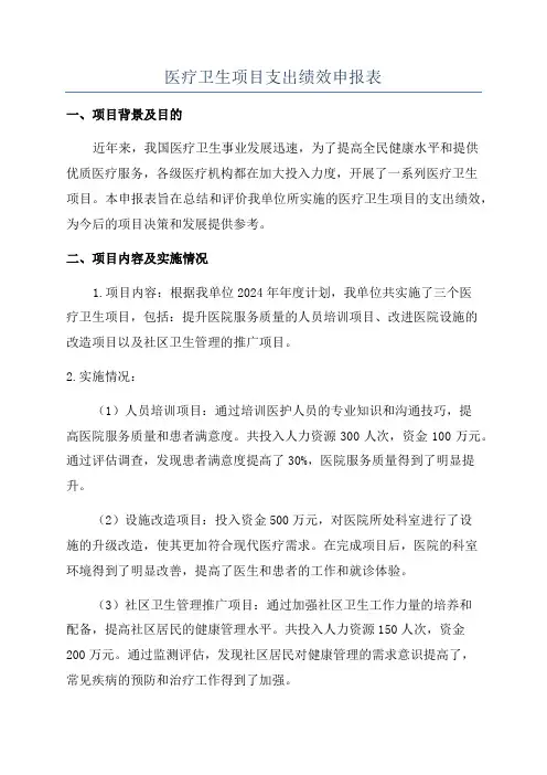 医疗卫生项目支出绩效申报表