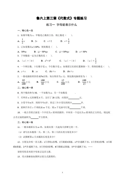 鲁六上第三章《代数式》专题练习