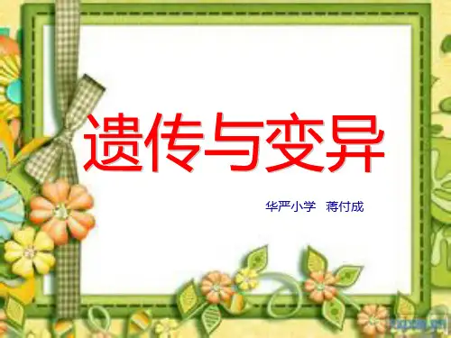 《遗传与变异》单元复习PPT课件