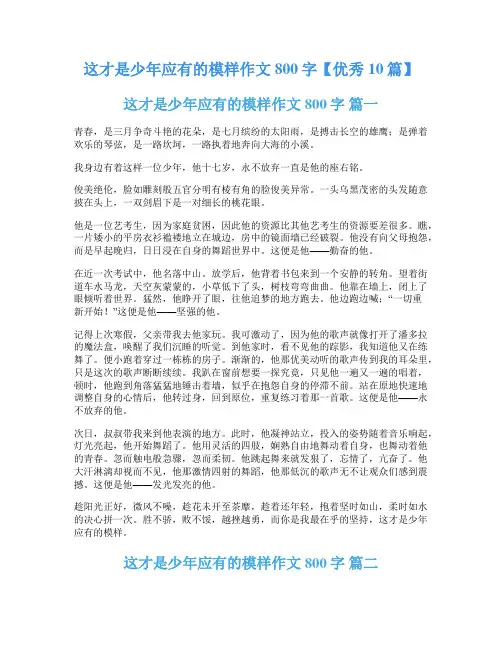 这才是少年应有的模样作文800字【优秀10篇】