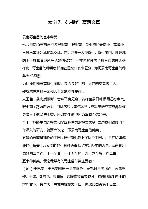 云南7、8月野生蘑菇文章