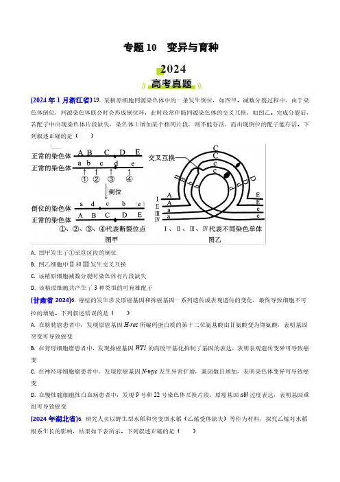 专题10 变异与育种-2024年高考真题和模拟题生物分类汇编(学生卷)