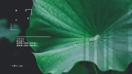 绿色植物手绘叶子夏文艺唯美课件答辩汇报 简约动态小清新PPT模板 (40)