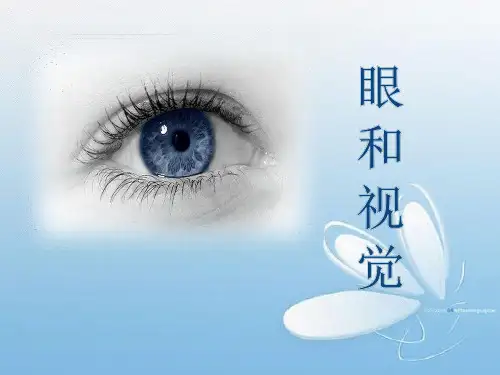 人教版眼与视觉