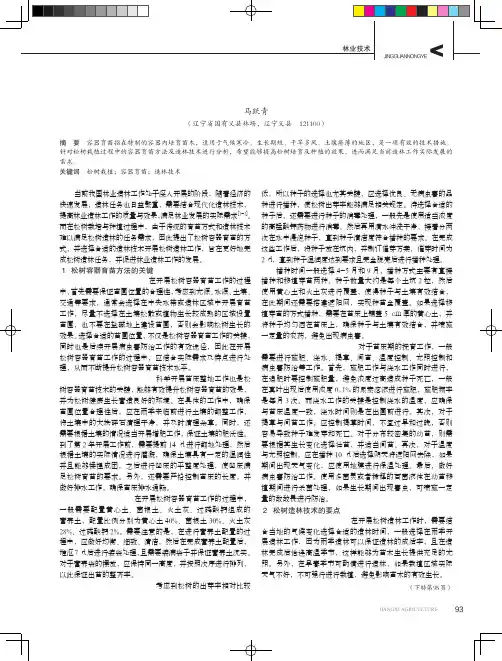 松树容器育苗方法与造林技术分析