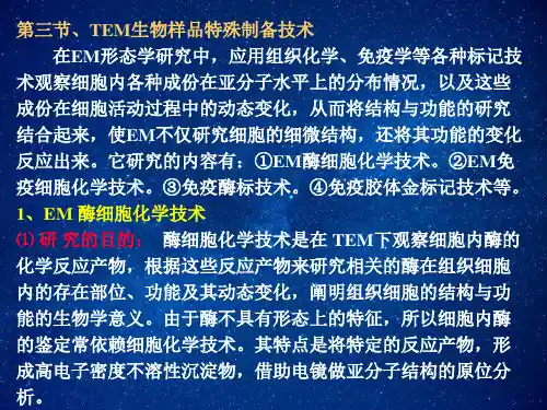 TEM生物样品特殊制备技术课件