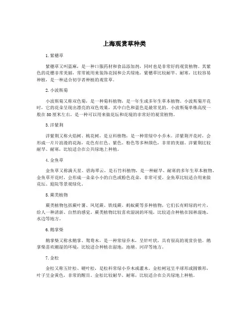 上海观赏草种类