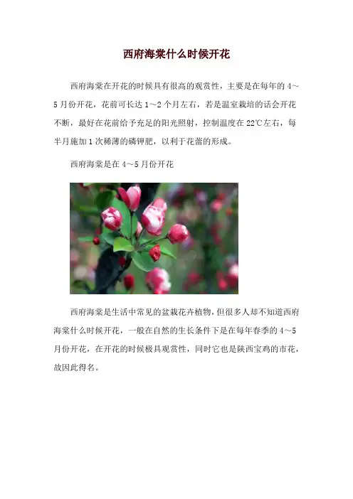 西府海棠什么时候开花