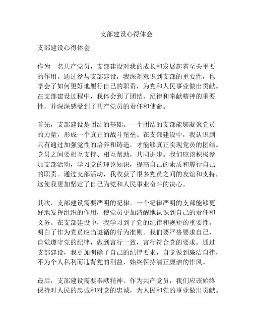支部建设心得体会