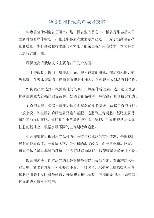 华容县稻保优高产栽培技术
