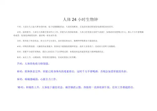 人体24小时生物钟
