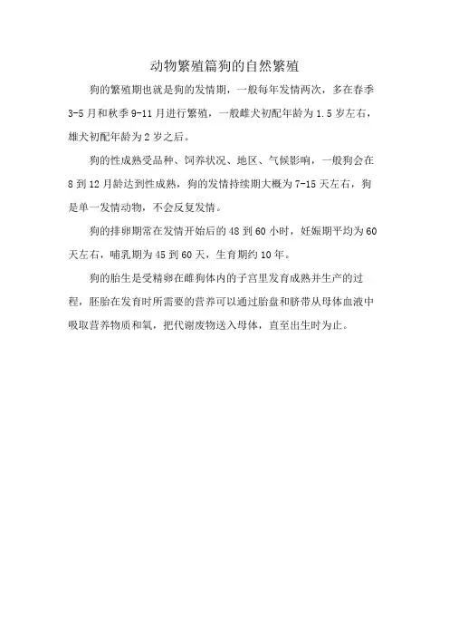 动物繁殖篇狗的自然繁殖