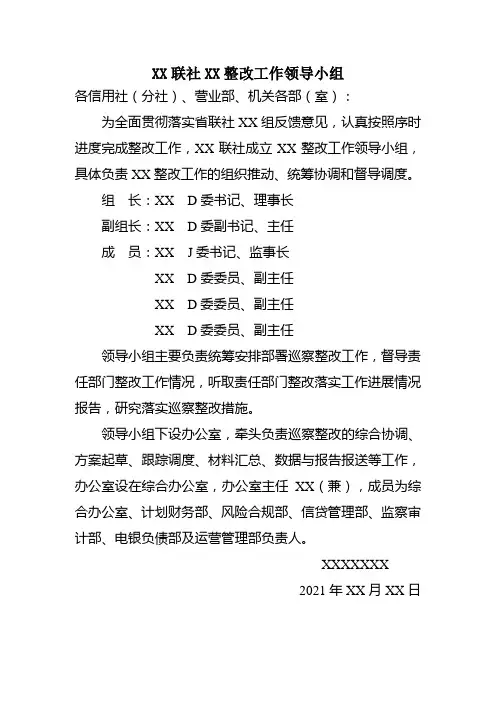 xx联社XX整改工作领导小组