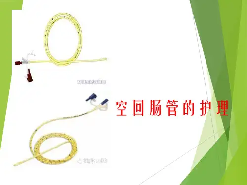 空肠营养管的护理ppt(完整版)