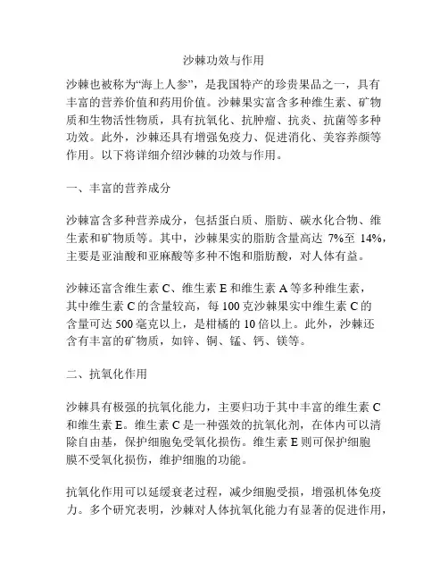 沙棘功效与作用
