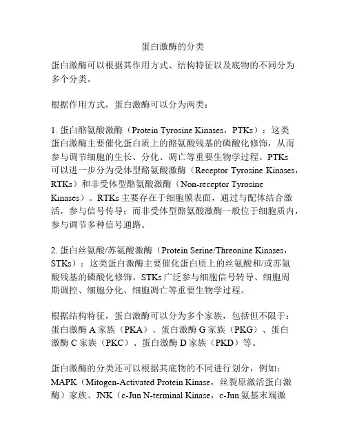 蛋白激酶的分类