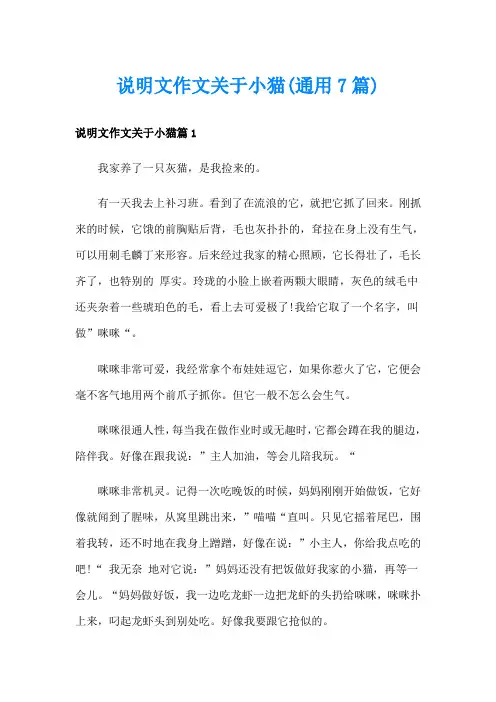 说明文作文关于小猫(通用7篇)