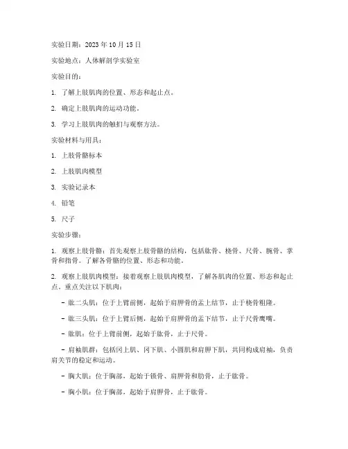 上肢肌肉解剖实验报告