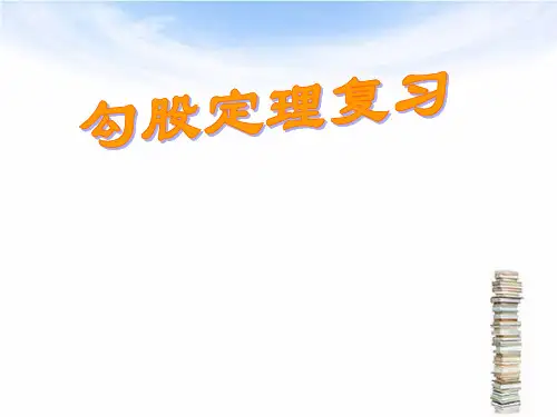 北师大版八年级上册 第一章 勾股定理总复习课件 (共44张PPT)
