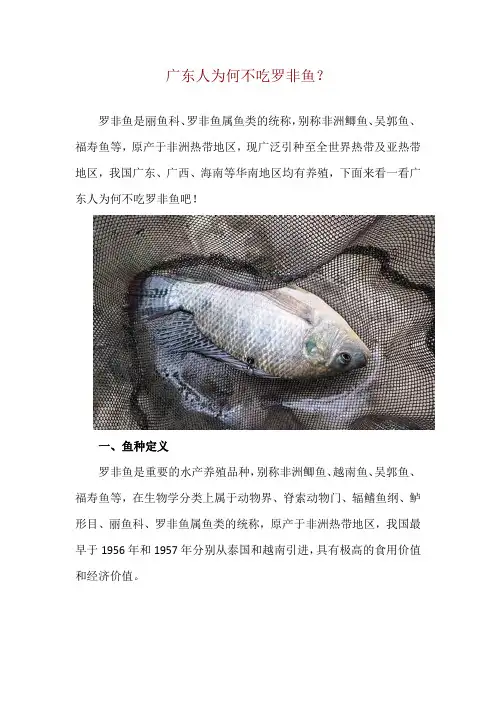 广东人为何不吃罗非鱼？