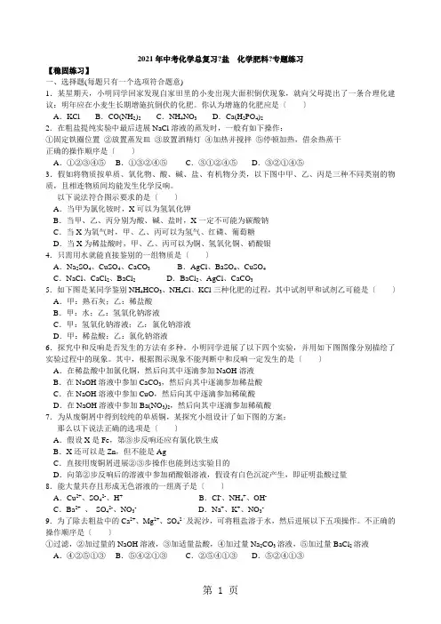 2021年中考化学总复习《盐  化学肥料》专题练习(含解析)