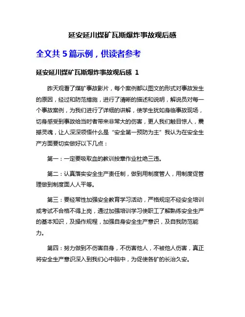 延安延川煤矿瓦斯爆炸事故观后感