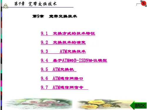程控数字交换技术(第二版)(刘振霞)-第9章