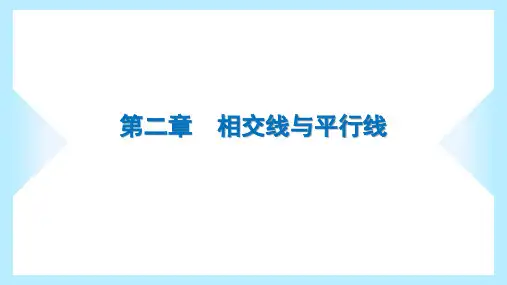 2023年北师大版七年级下册数学期末复习第二章相交线与平行线