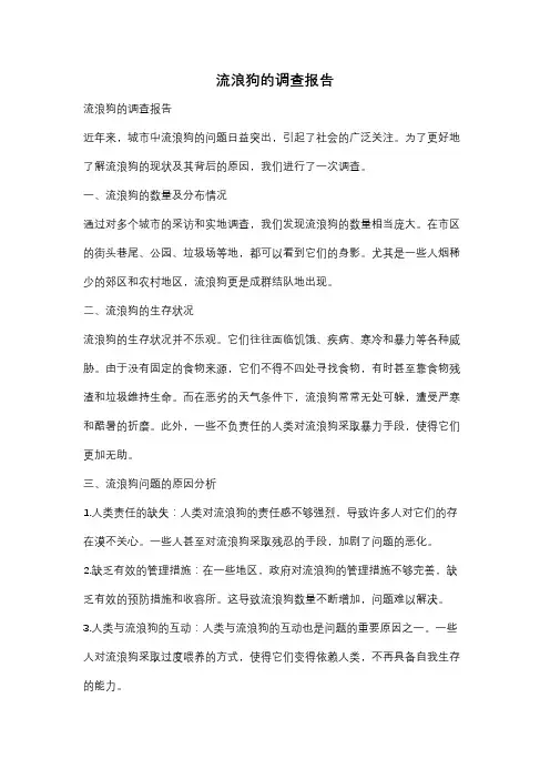 流浪狗的调查报告