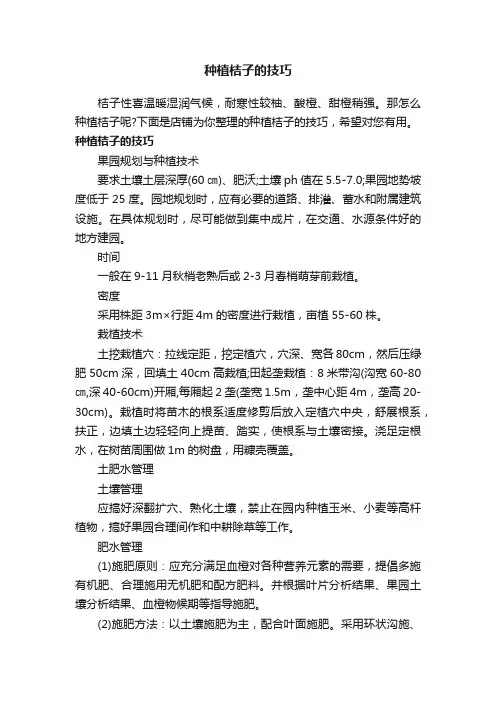 种植桔子的技巧