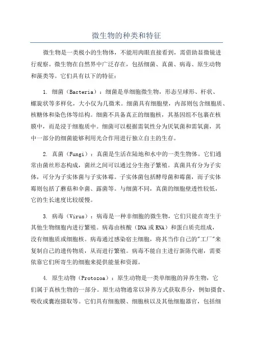 微生物的种类和特征