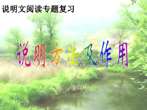 专项复习之说明方法及作用