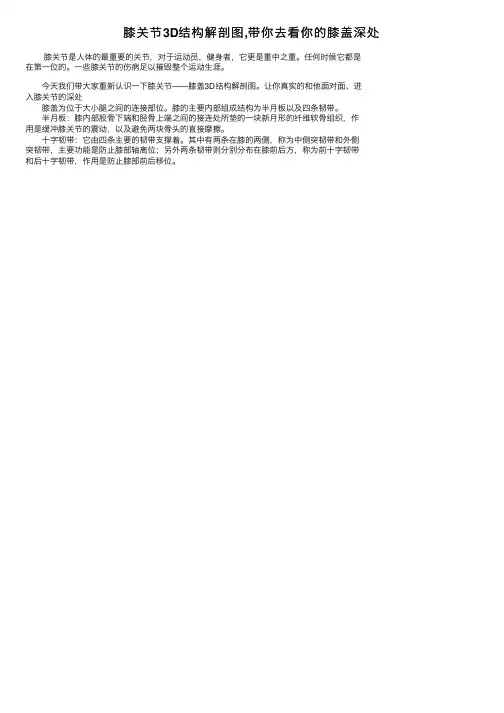 膝关节3D结构解剖图,带你去看你的膝盖深处