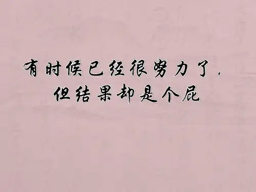 有时候很努力了,但是结果是个屁